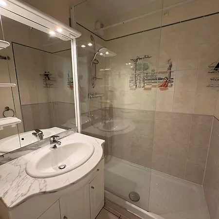 Apartment Appartement Avec Animaux, Vue Montagne - 5 Pers. - Fr-1-293-128 *
