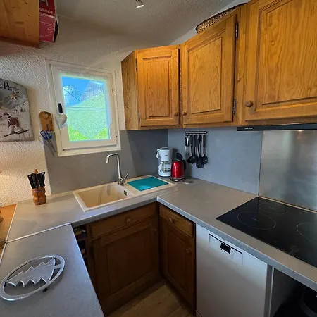Apartment Appartement Avec Animaux, Vue Montagne - 5 Pers. - Fr-1-293-128 Les Saisies