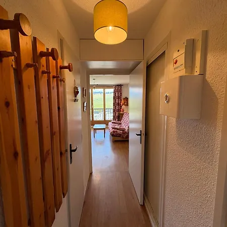 Appartement Avec Animaux, Vue Montagne - 5 Pers. - Fr-1-293-128 *